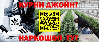 кокаин премиум Канаш